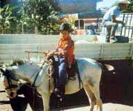 photo d'un petit garçon sur un âne